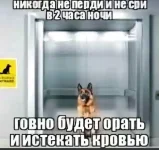 24a8005af85bed292820668b912ad41a.webp